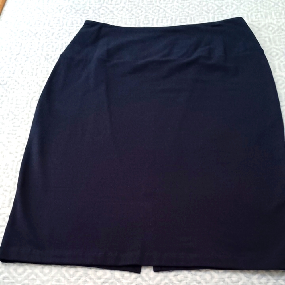 Women In Control Pencil Skirt